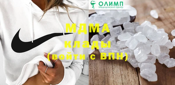 прущие грибы Осинники