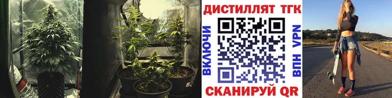 Дистиллят ТГК жижа  закладки  Пучеж 