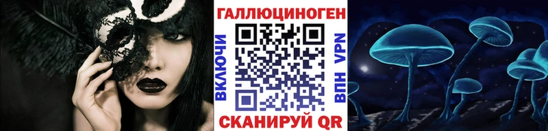 Псилоцибиновые грибы Cubensis Пучеж