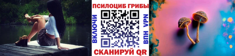 наркошоп  Пучеж  Галлюциногенные грибы MAGIC MUSHROOMS 